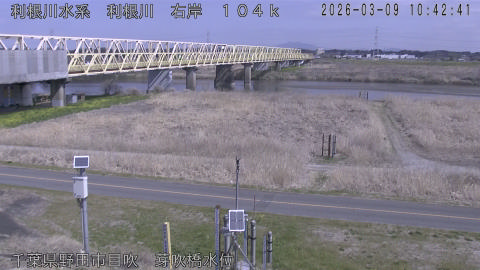 tonme2026030911_image