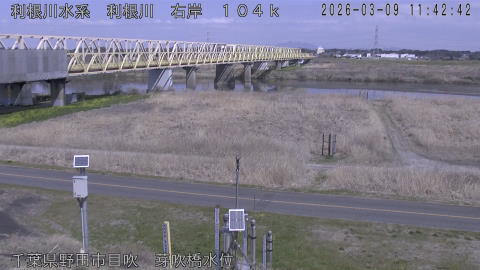 tonme2026030912_image