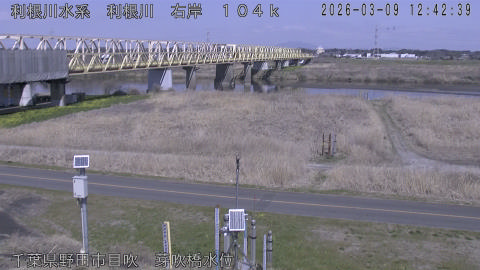 tonme2026030913_image