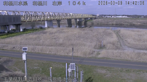 tonme2026030915_image