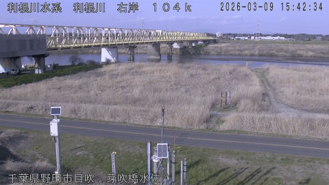 tonme2026030916_image