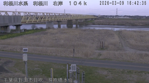 tonme2026030917_image