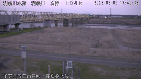 tonme2026030918_image