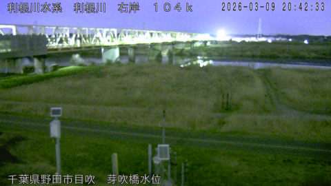 tonme2026030921_image