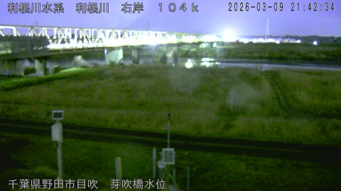 tonme2026030922_image