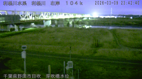 tonme2026031000_image