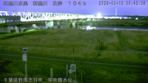 tonme2026031001_image