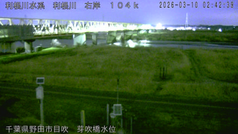 tonme2026031003_image