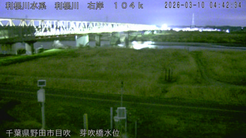 tonme2026031005_image