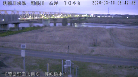 tonme2026031006_image