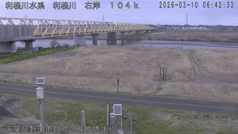 tonme2026031007_image