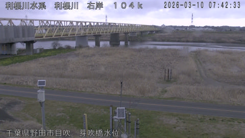 tonme2026031008_image