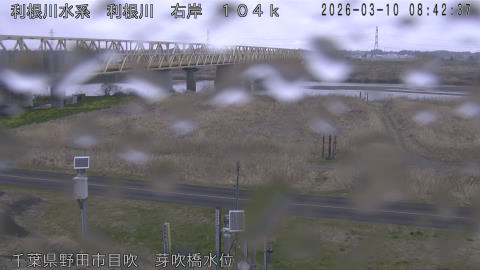 tonme2026031009_image