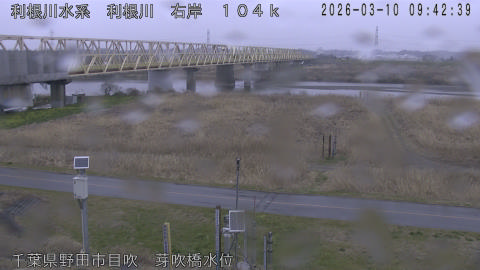 tonme2026031010_image