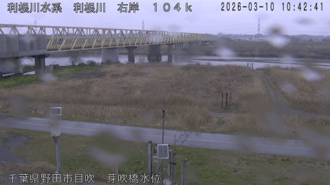 tonme2026031011_image