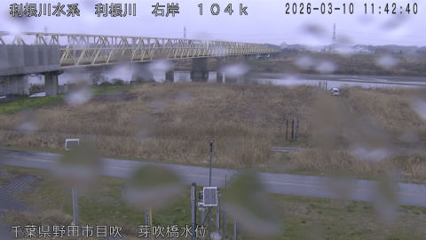 tonme2026031012_image