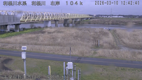 tonme2026031013_image