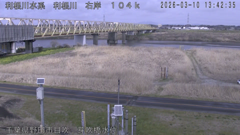 tonme2026031014_image