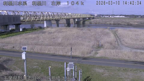 tonme2026031015_image