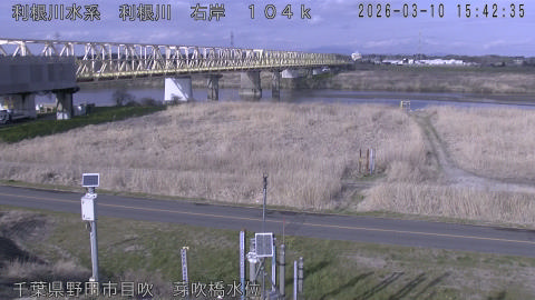 tonme2026031016_image