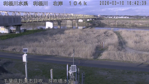 tonme2026031017_image