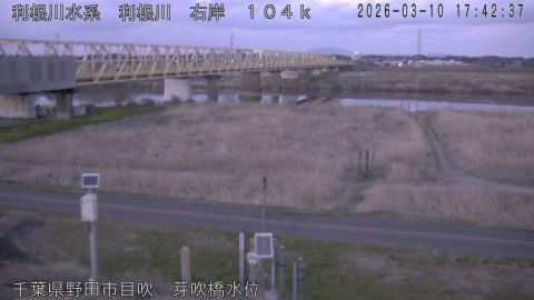 tonme2026031018_image