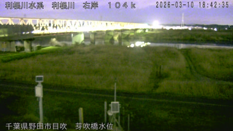 tonme2026031019_image