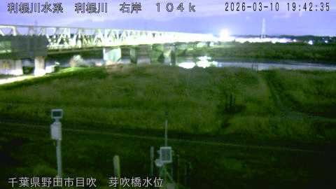 tonme2026031020_image