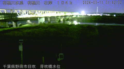 tonme2026031102_image