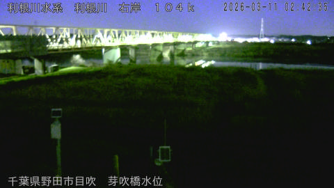 tonme2026031103_image