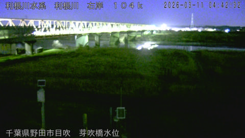 tonme2026031105_image