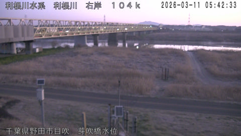 tonme2026031106_image