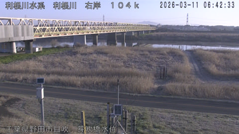 tonme2026031107_image