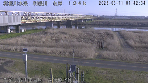 tonme2026031108_image