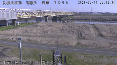 tonme2026031109_image