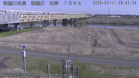 tonme2026031110_image