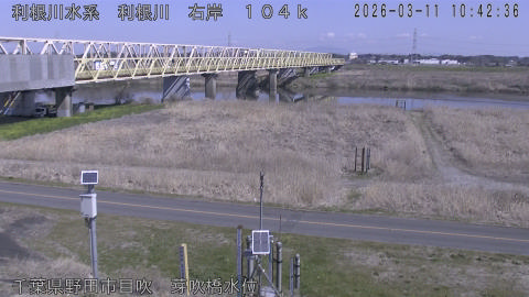 tonme2026031111_image