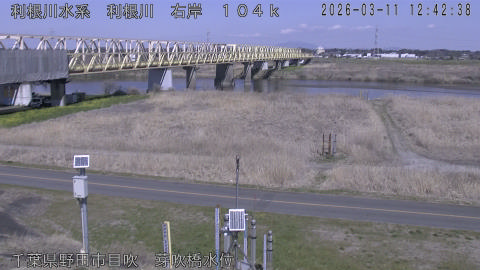 tonme2026031113_image