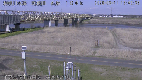 tonme2026031114_image