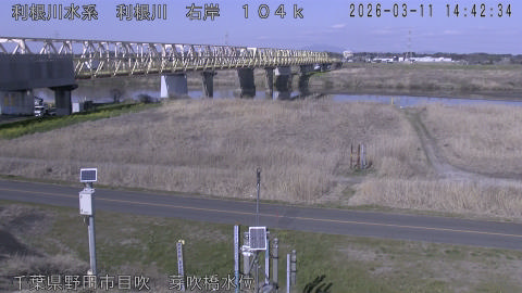 tonme2026031115_image