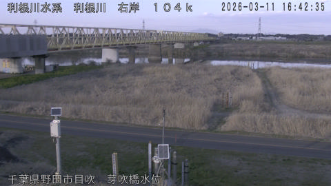 tonme2026031117_image