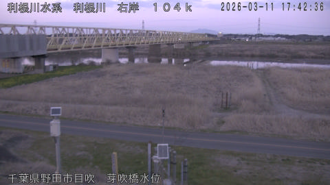 tonme2026031118_image