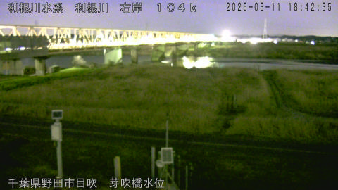 tonme2026031119_image