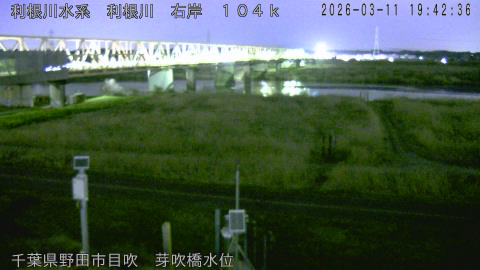 tonme2026031120_image