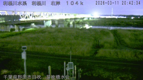 tonme2026031121_image