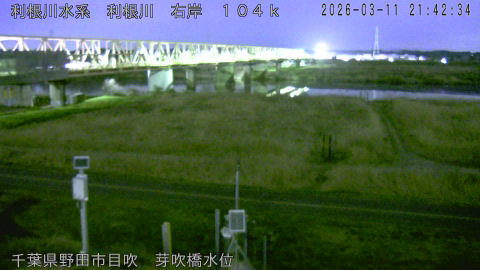 tonme2026031122_image