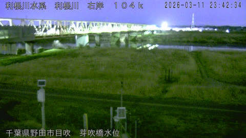 tonme2026031200_image