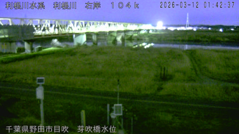 tonme2026031202_image