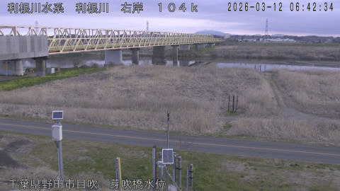 tonme2026031207_image