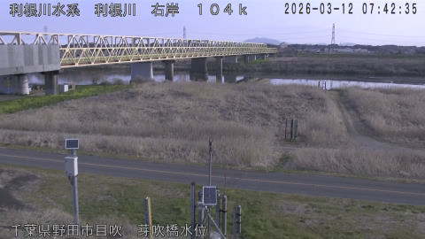 tonme2026031208_image